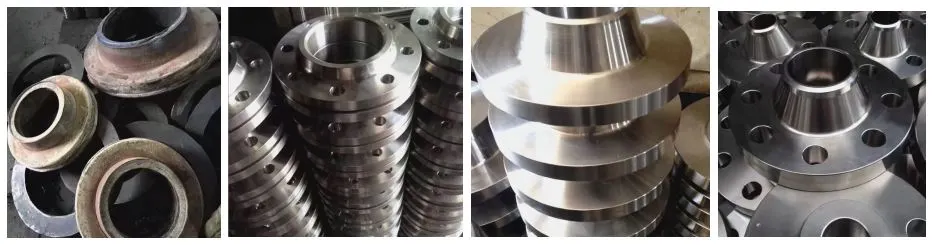 Hastelloy B Flange Hastelloy B Flange