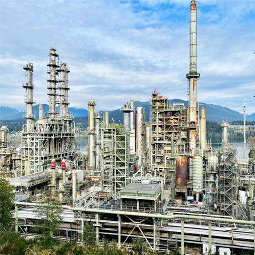 Chemical Processing