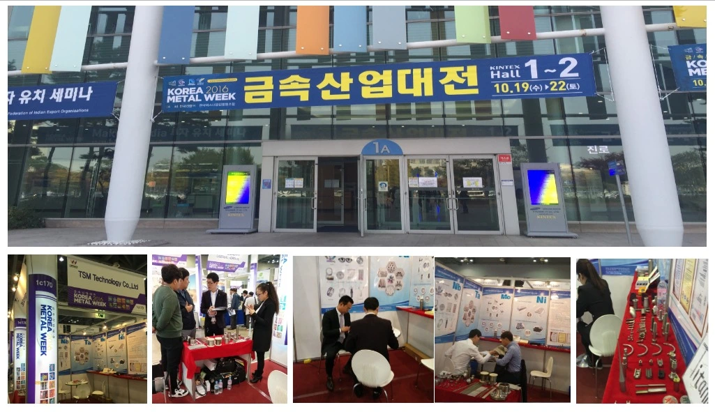 Company Exhibition